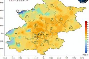 厄德高全场数据：3次射门1次射正，1次关键传球，2次被犯规